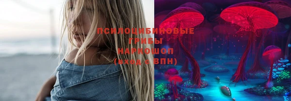 гашик Беломорск