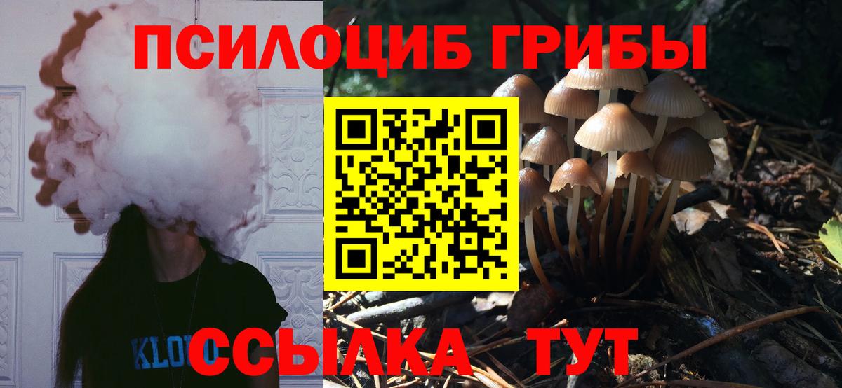 Галлюциногенные грибы GOLDEN TEACHER Лыткарино