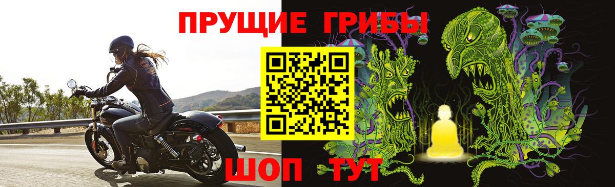 купить   Галлюциногенные грибы ЛСД  Галлюциногенные грибы MAGIC MUSHROOMS  Вход с VPN  Лыткарино 